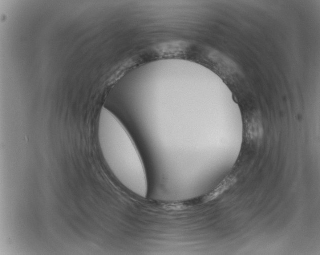 X0000080680666200612150739