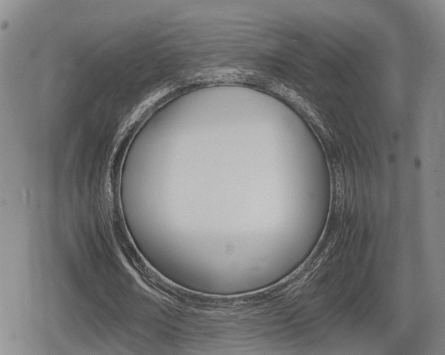 X0000080680674200612150739