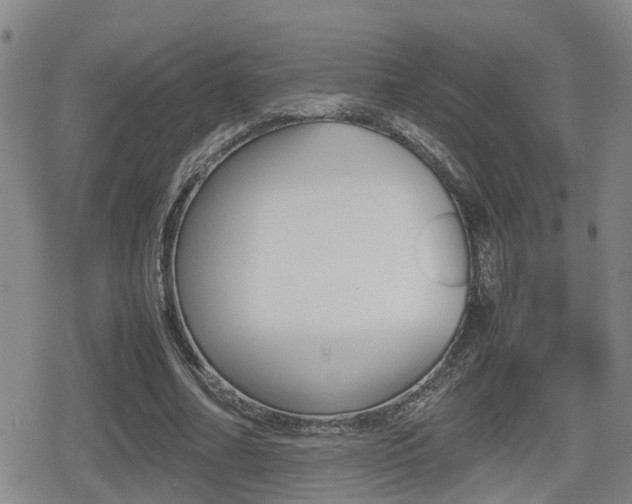 X0000080680682200612150739