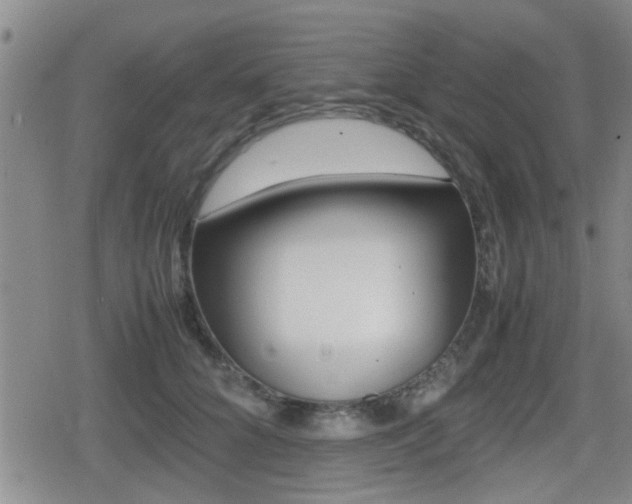 X0000080680704200612150738