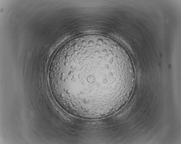 X0000080680721200612150737