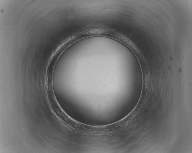 X0000080680722200612150737