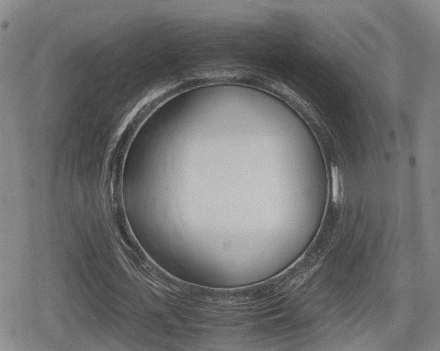 X0000080680723200612150737