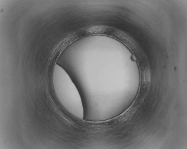 X0000080680733200612150737