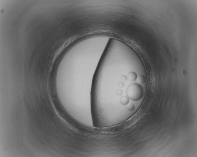 X0000080680734200612150737