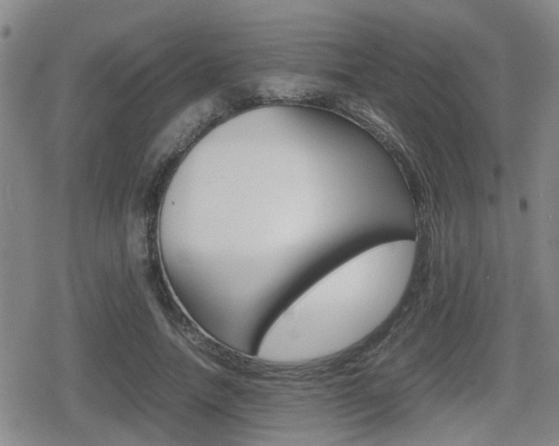 X0000080680738200612150737