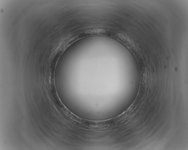 X0000080680739200612150738