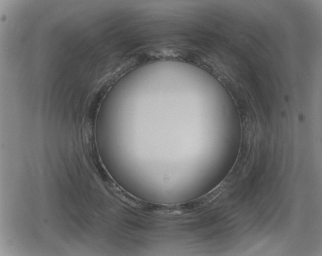 X0000080680747200612150738