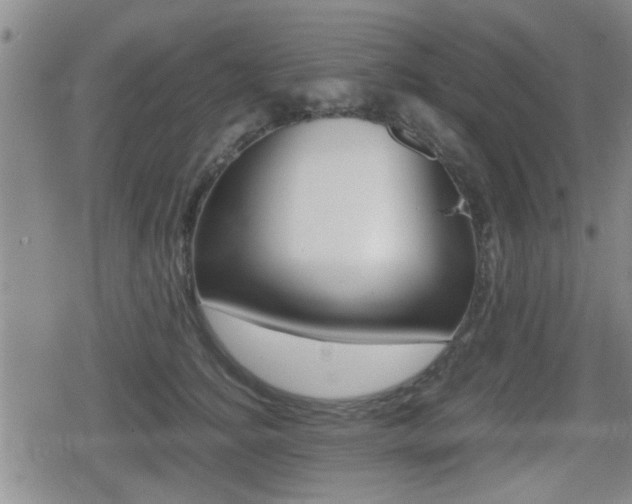 X0000080680756200612150738