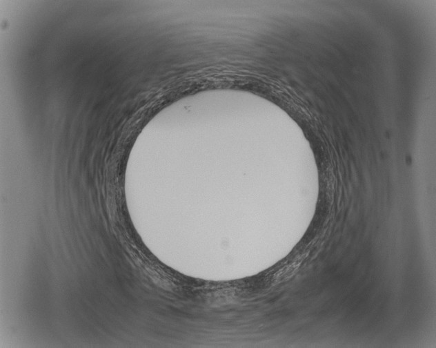 X0000080680769200612150737