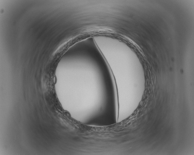 X0000080680775200612150737
