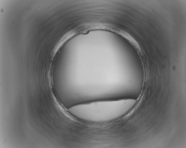 X0000080680806200612150737
