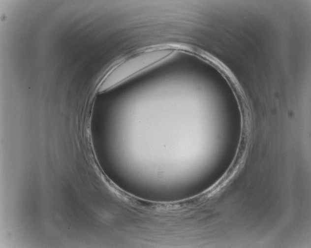 X0000080680809200612150737