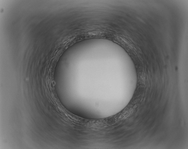 X0000080680817200612150736