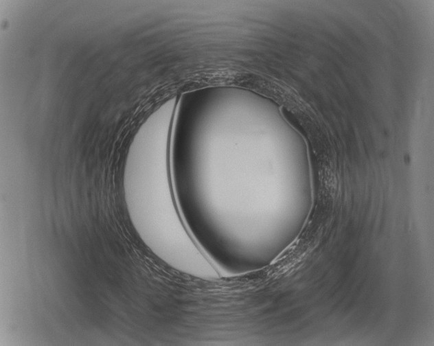 X0000080680818200612150736