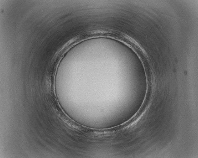 X0000080680825200612150736