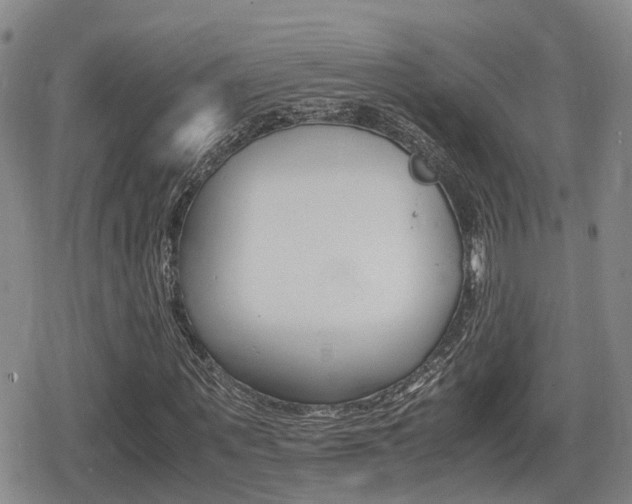 X0000080680867200612150736