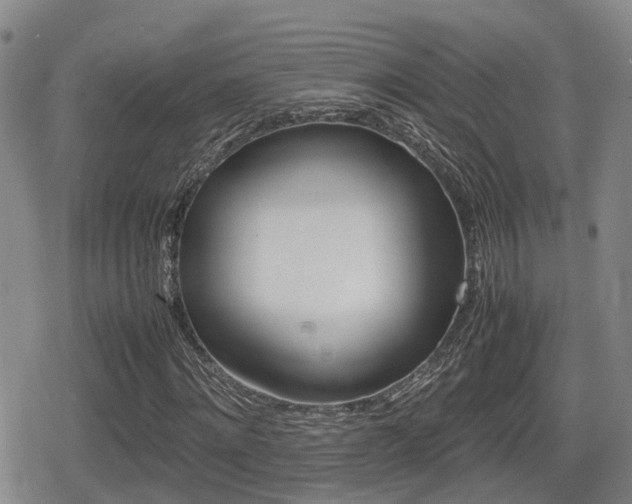 X0000080680868200612150736