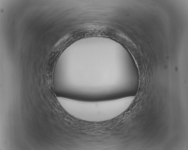 X0000080680869200612150736
