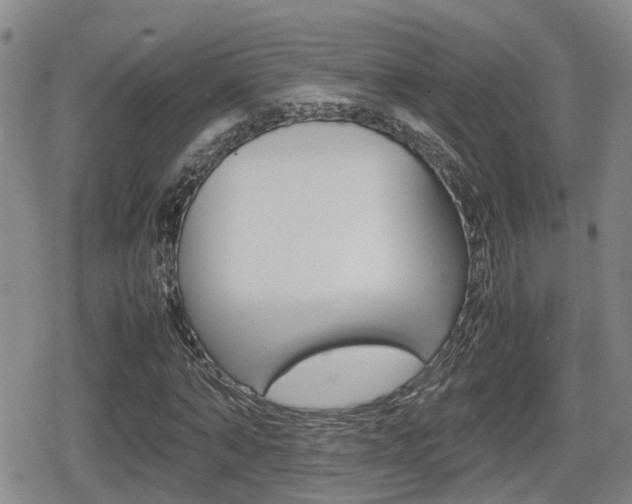 X0000080680870200612150736