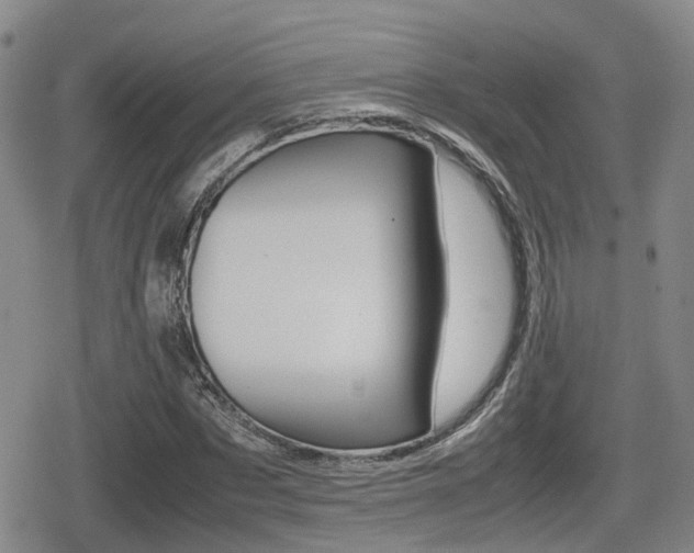 X0000080680873200612150736
