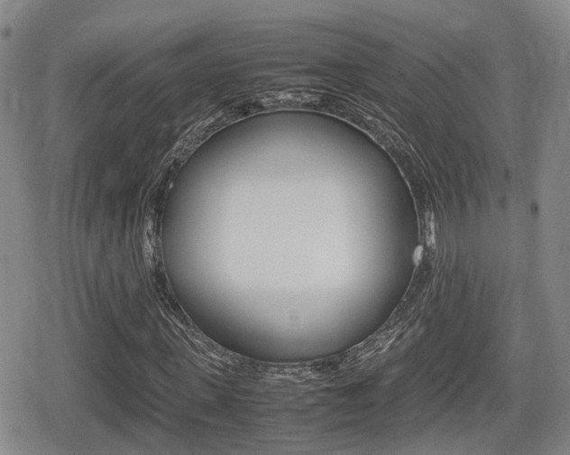 X0000080680915200612150734