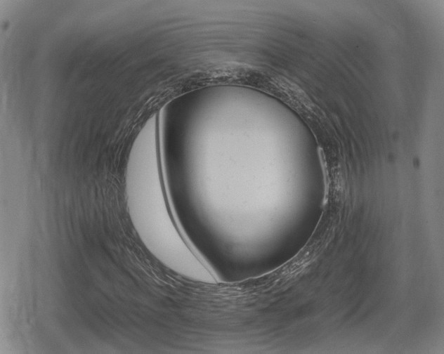 X0000080680916200612150734