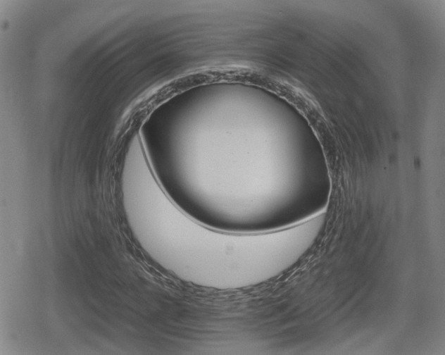 X0000080680920200612150734
