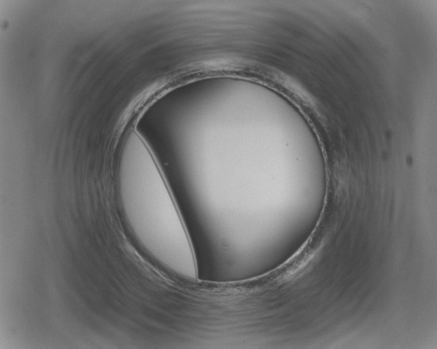 X0000080680930200612150734