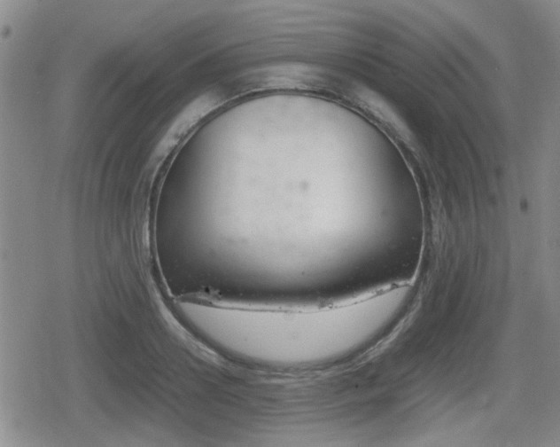 X0000080680938200612150734