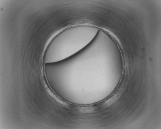X0000080680941200612150735