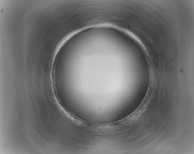 X0000080680959200612150735