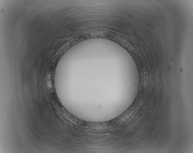 X0000080680962200612150734