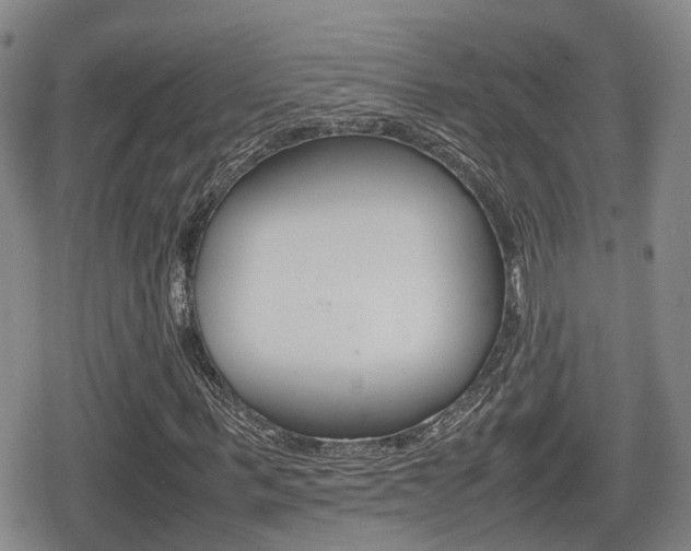 X0000080680963200612150734