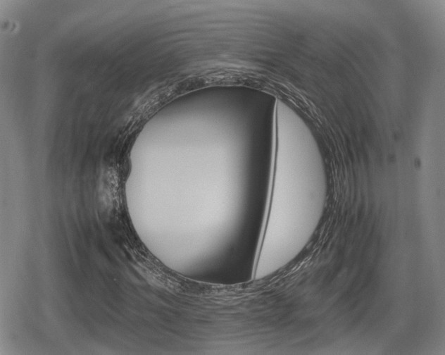 X0000080680964200612150734