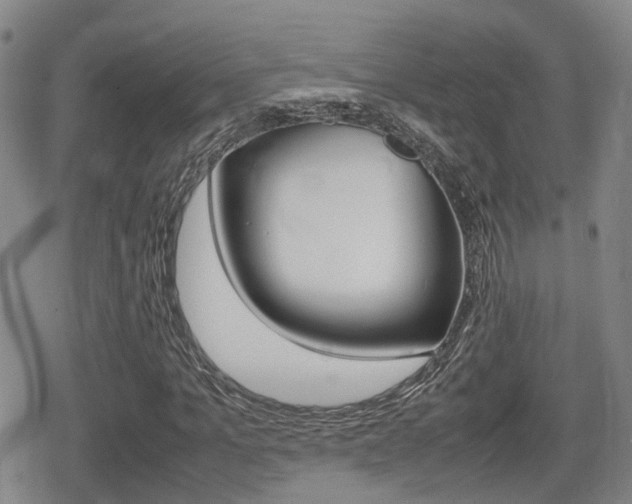 X0000080680965200612150734