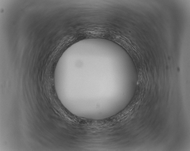 X0000080681009200612150733