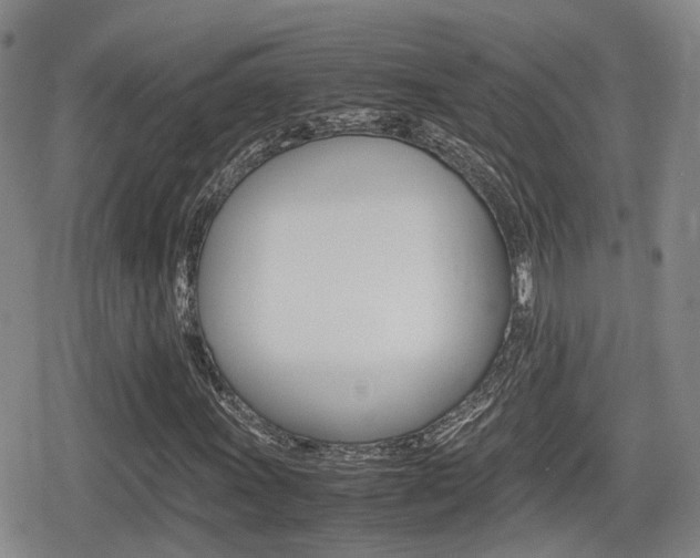 X0000080681011200612150733