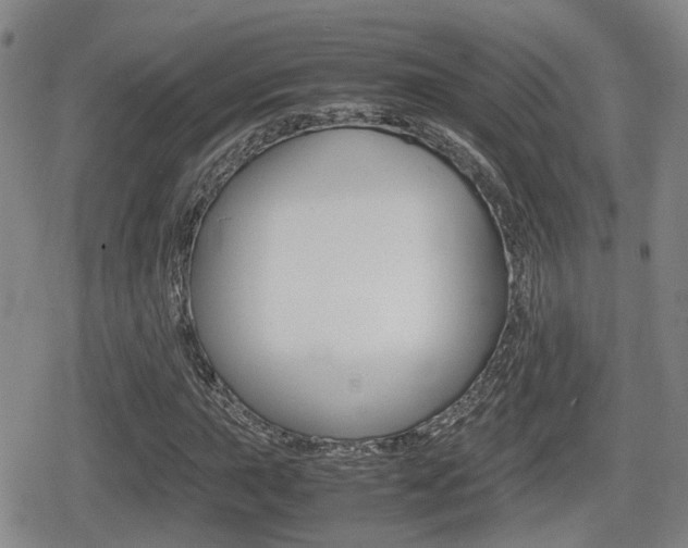X0000080681015200612150733