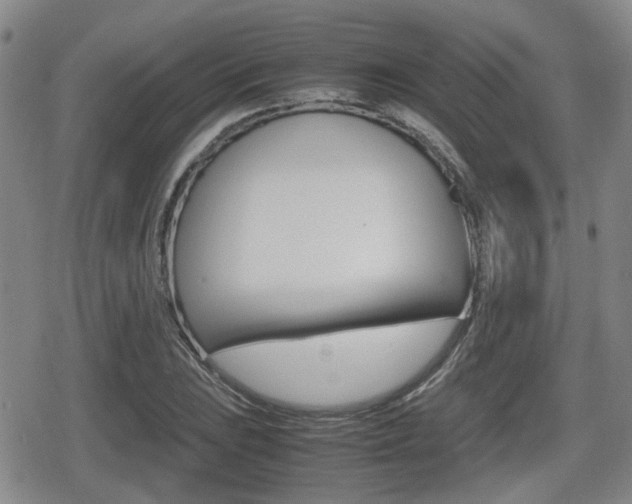 X0000080681023200612150733