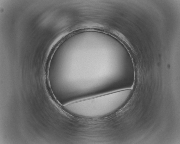 X0000080681024200612150733