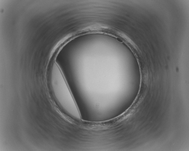X0000080681026200612150733