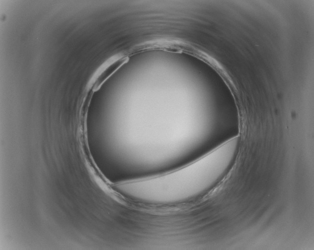 X0000080681042200612150733