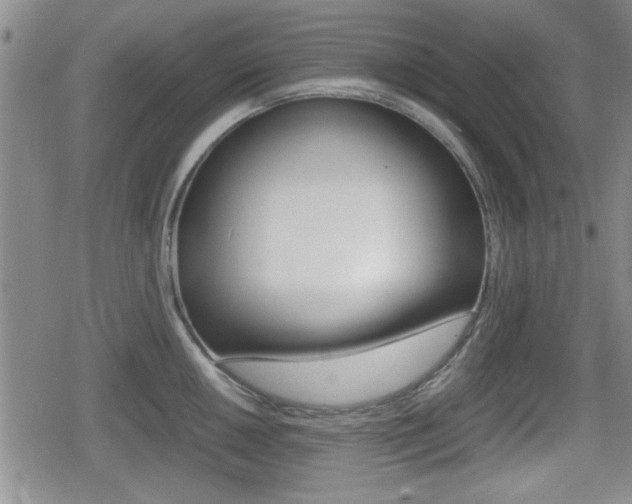 X0000080681050200612150733