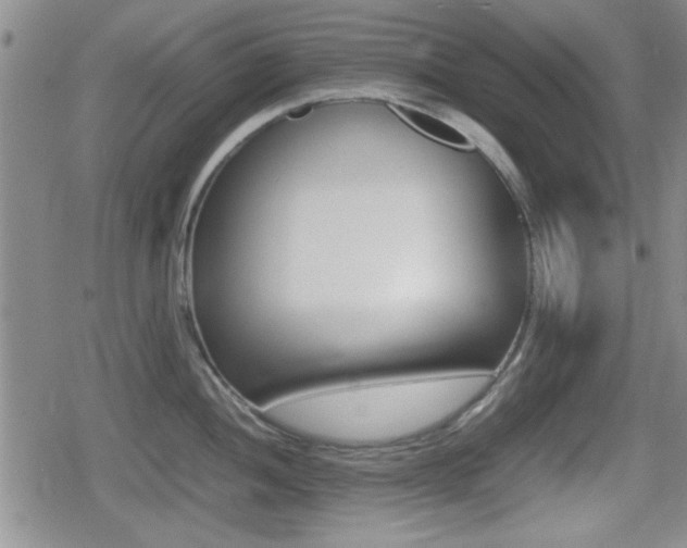 X0000080681052200612150733
