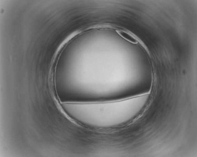 X0000080681053200612150733