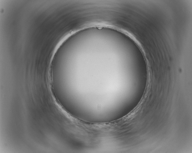 X0000080681056200612150733
