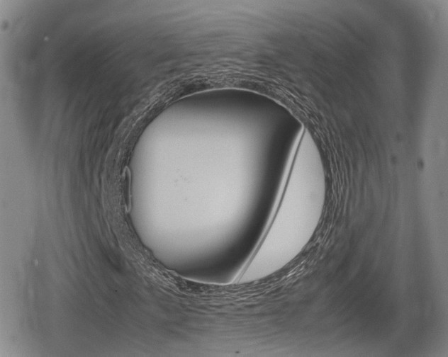 X0000080681057200612150732