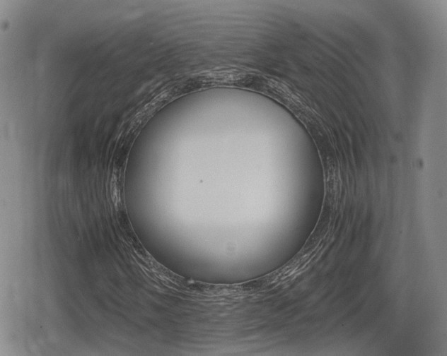 X0000080681058200612150732