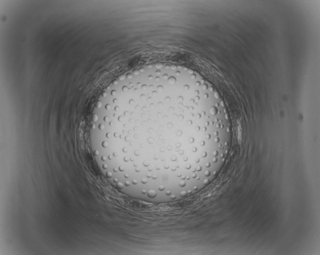 X0000080681059200612150732